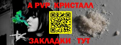 шишки Лесосибирск
