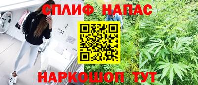 шишки Лесосибирск