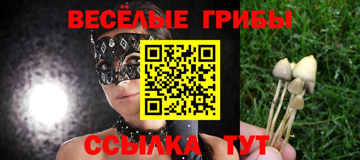 наркошоп  Псилоцибиновые грибы мицелий  Псилоцибиновые грибы мицелий  Вход с VPN  Унеча 